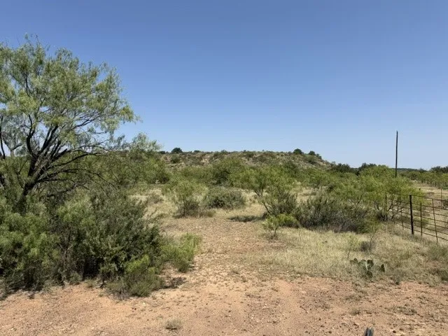 C R 195 Moran, TX 76424