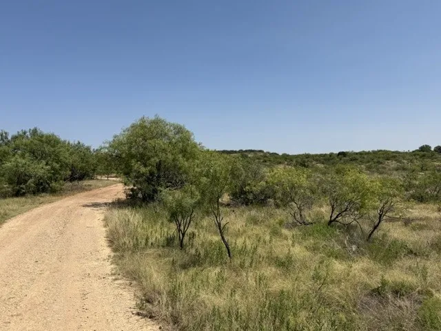 C R 195 Moran, TX 76424