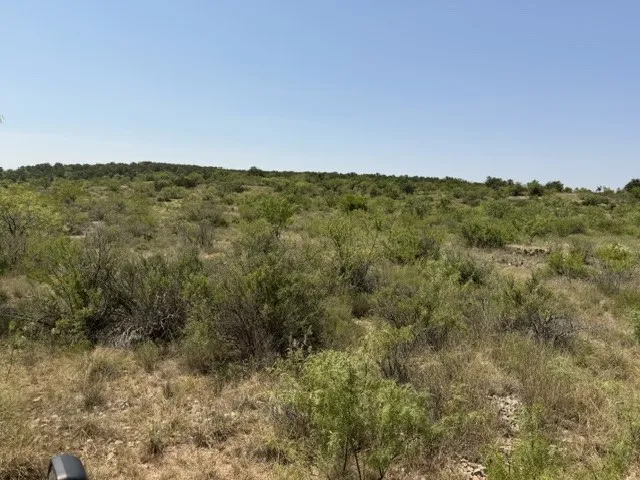 C R 195 Moran, TX 76424