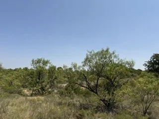 C R 195 Moran, TX 76424