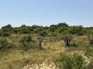 C R 195 Moran, TX 76424