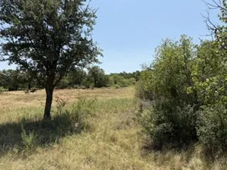 C R 195 Moran, TX 76424