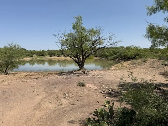 C R 195 Moran, TX 76424