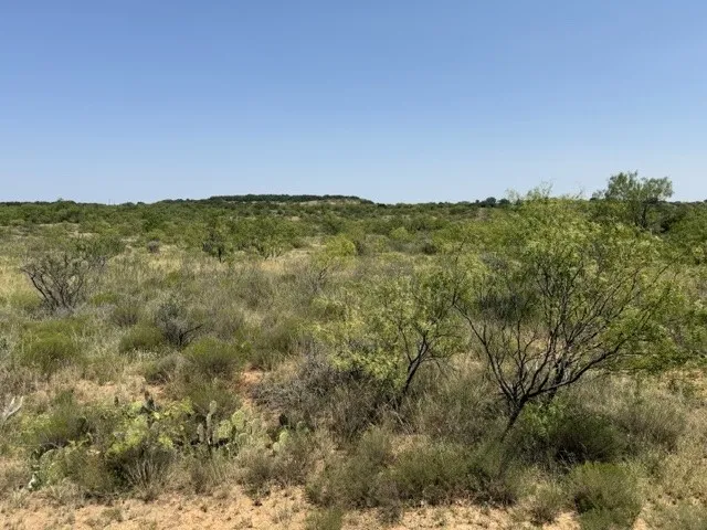 C R 195 Moran, TX 76424