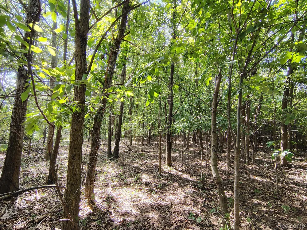 Brigham Road Hadley Township, MI 48438