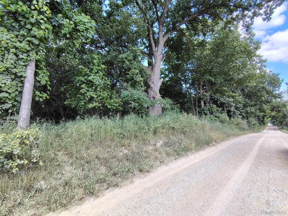 Brigham Road Hadley Township, MI 48438