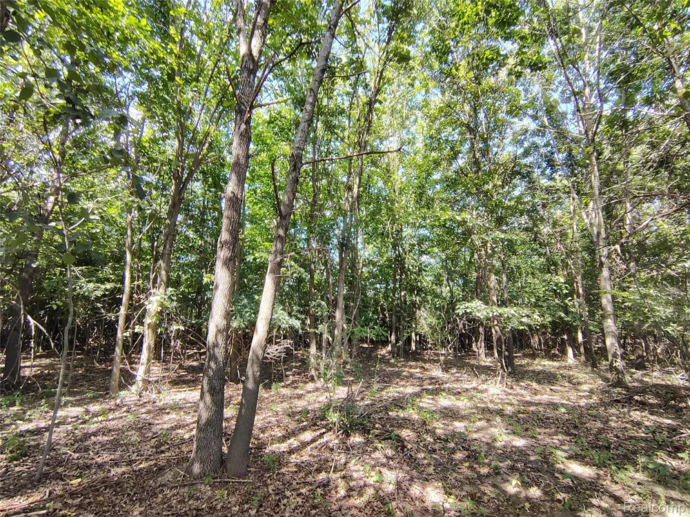 Brigham Road Hadley Township, MI 48438