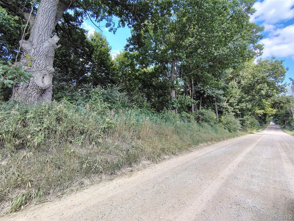 Brigham Road Hadley Township, MI 48438