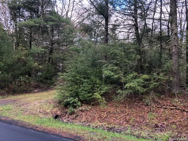 Crawford Road Barryville, NY 12528