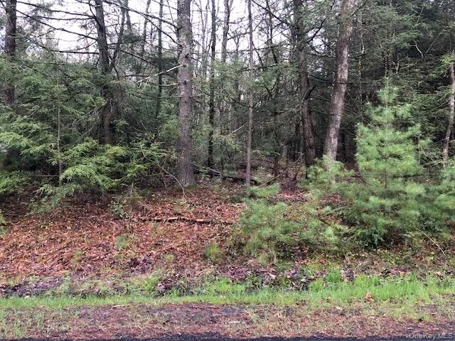 Crawford Road Barryville, NY 12528