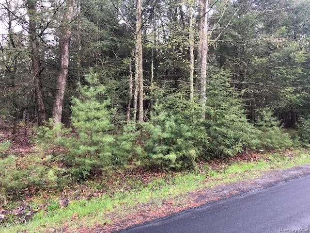 Crawford Road Barryville, NY 12528