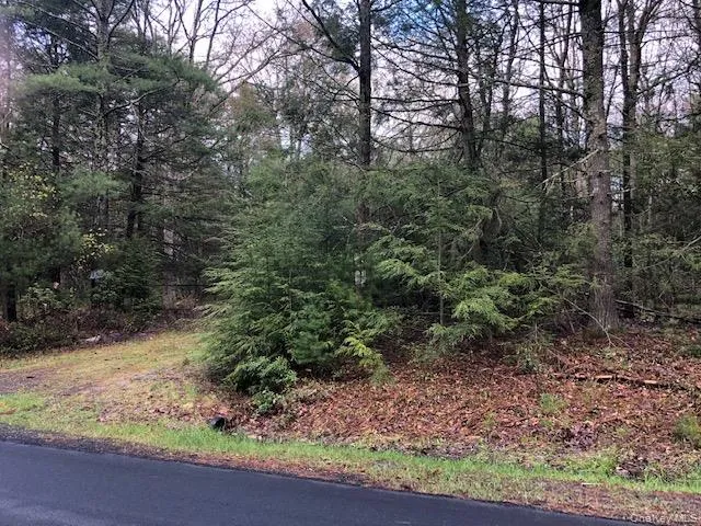 Crawford Road Barryville, NY 12528