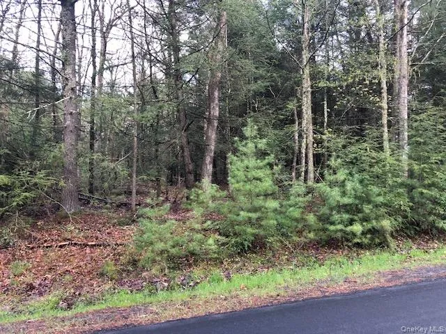 Crawford Road Barryville, NY 12528