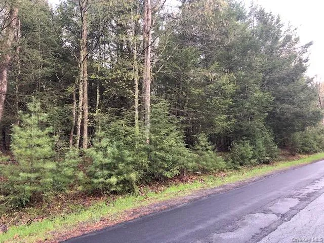 Crawford Road Barryville, NY 12528