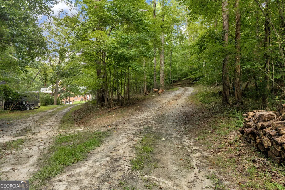 4165 Prather Bridge RD Toccoa, GA 30577