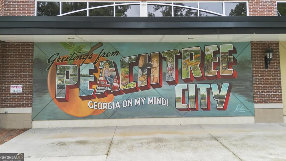 940 Laurel Brooke AVE Peachtree City, GA 30269