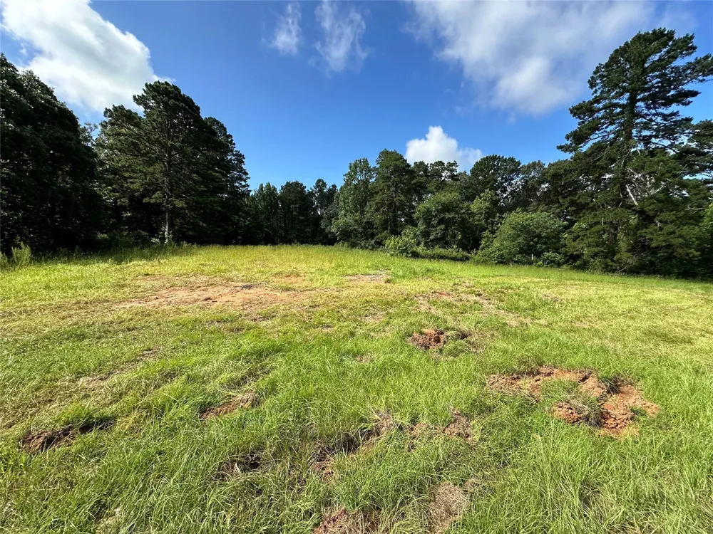 3932 Fern Lake Cutoff Marshall, TX 75672