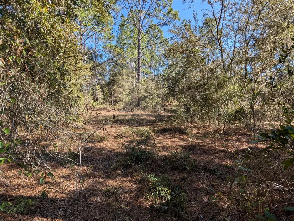 SW SOUNDVIEW DRIVE Dunnellon, FL 34431
