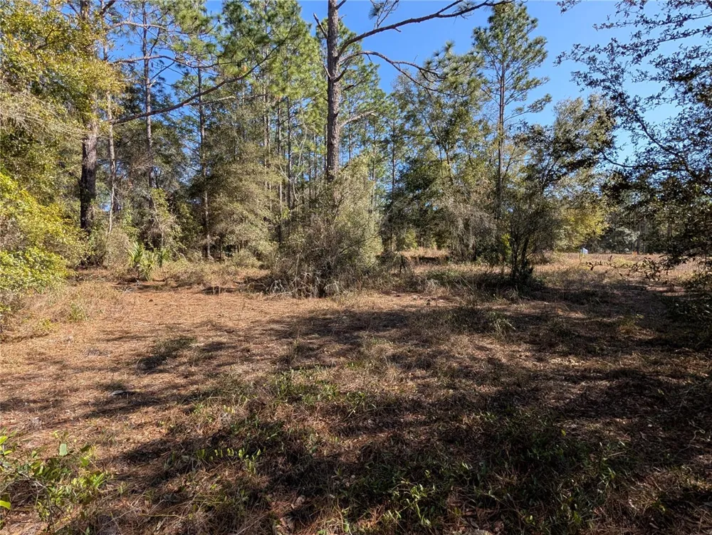 SW SOUNDVIEW DRIVE Dunnellon, FL 34431