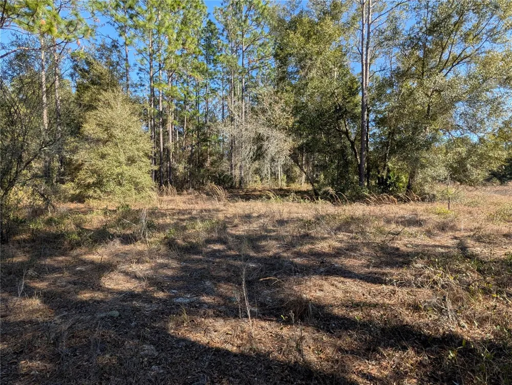 SW SOUNDVIEW DRIVE Dunnellon, FL 34431