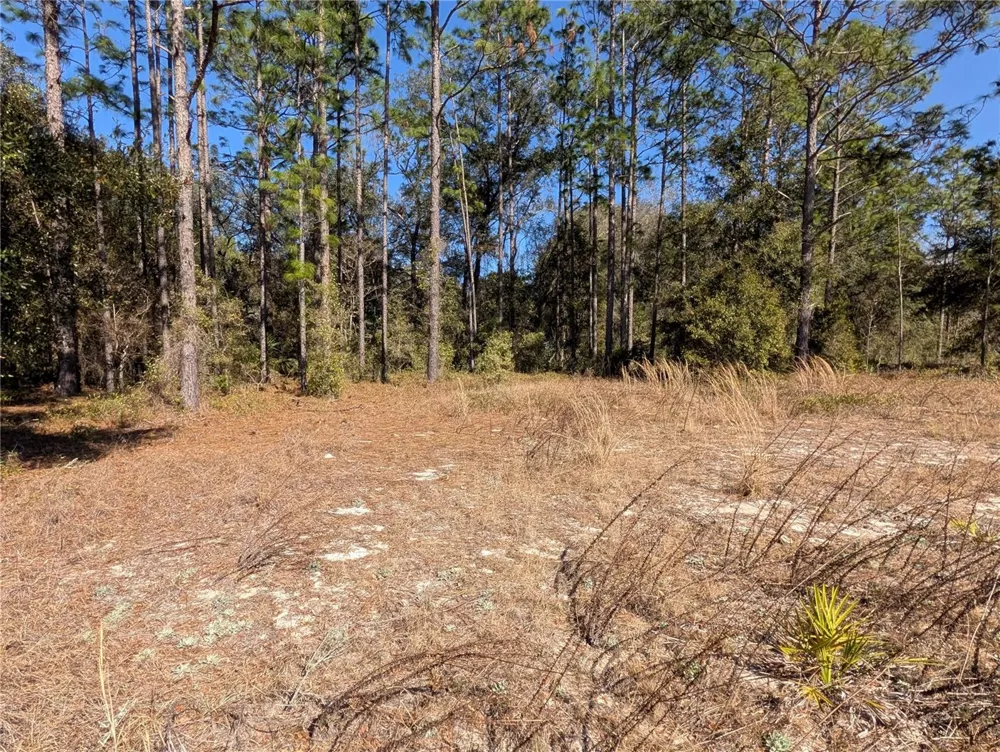 SW SOUNDVIEW DRIVE Dunnellon, FL 34431