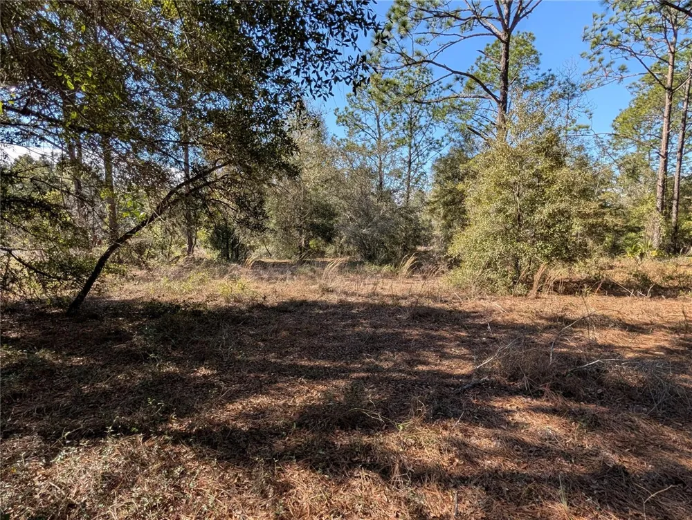 SW SOUNDVIEW DRIVE Dunnellon, FL 34431