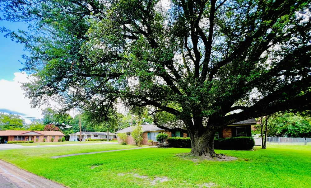 114 Harred Street Sulphur Springs, TX 75482