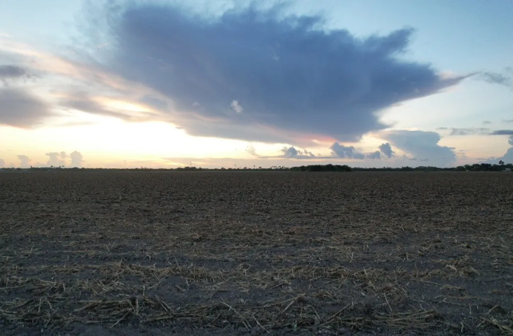 Mile 3 East Rd La Feria, TX 78570