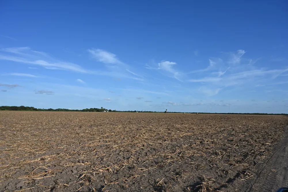 Mile 3 East Rd La Feria, TX 78570