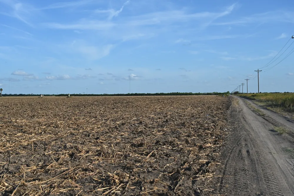 Mile 3 East Rd La Feria, TX 78570