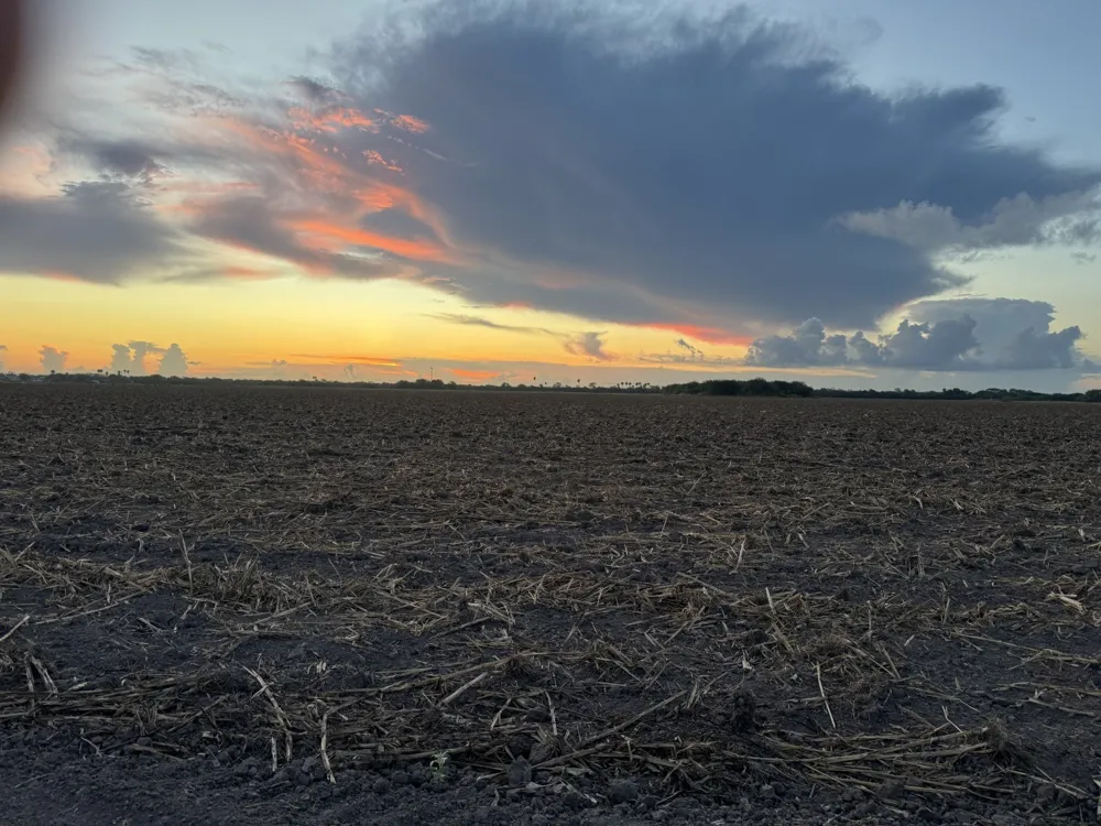 Mile 3 East Rd La Feria, TX 78570