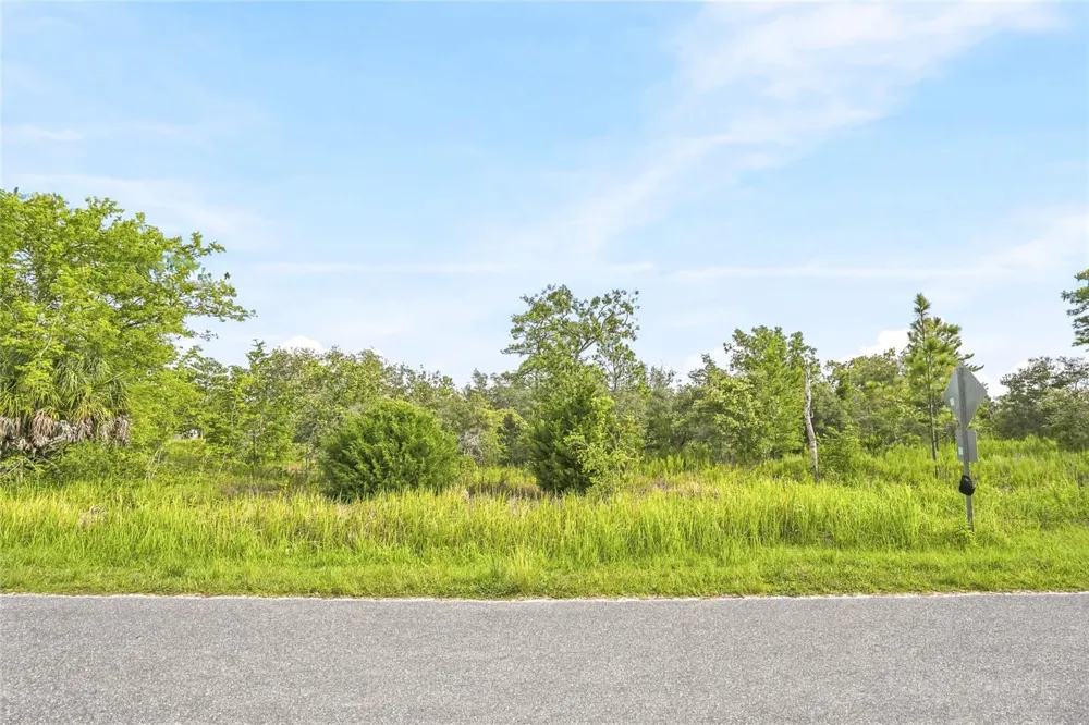 0 ESTER DRIVE Brooksville, FL 34613