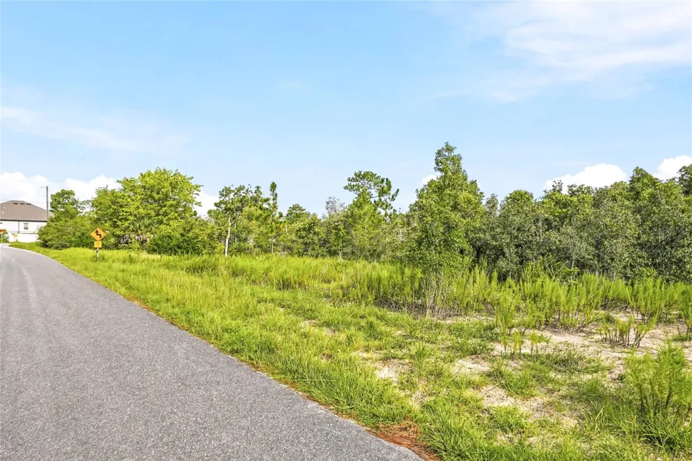 0 ESTER DRIVE Brooksville, FL 34613