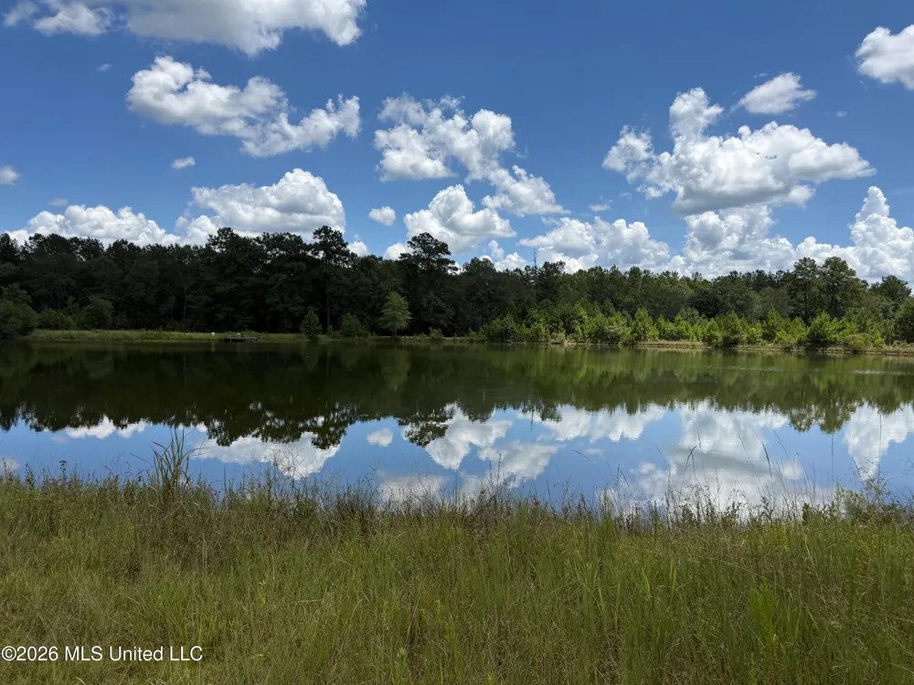 2895 Silver Run Road Poplarville, MS 39470