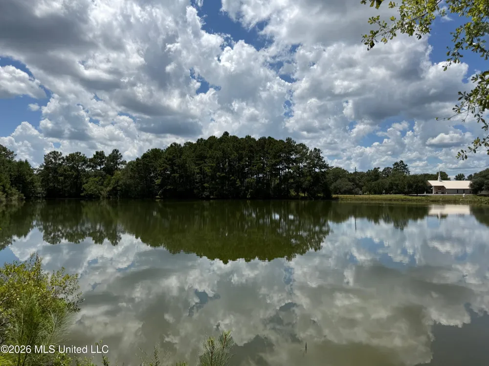 2895 Silver Run Road Poplarville, MS 39470