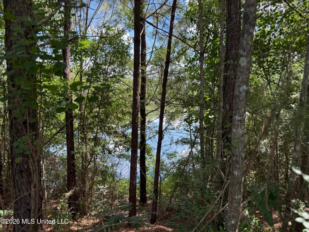 2895 Silver Run Road Poplarville, MS 39470