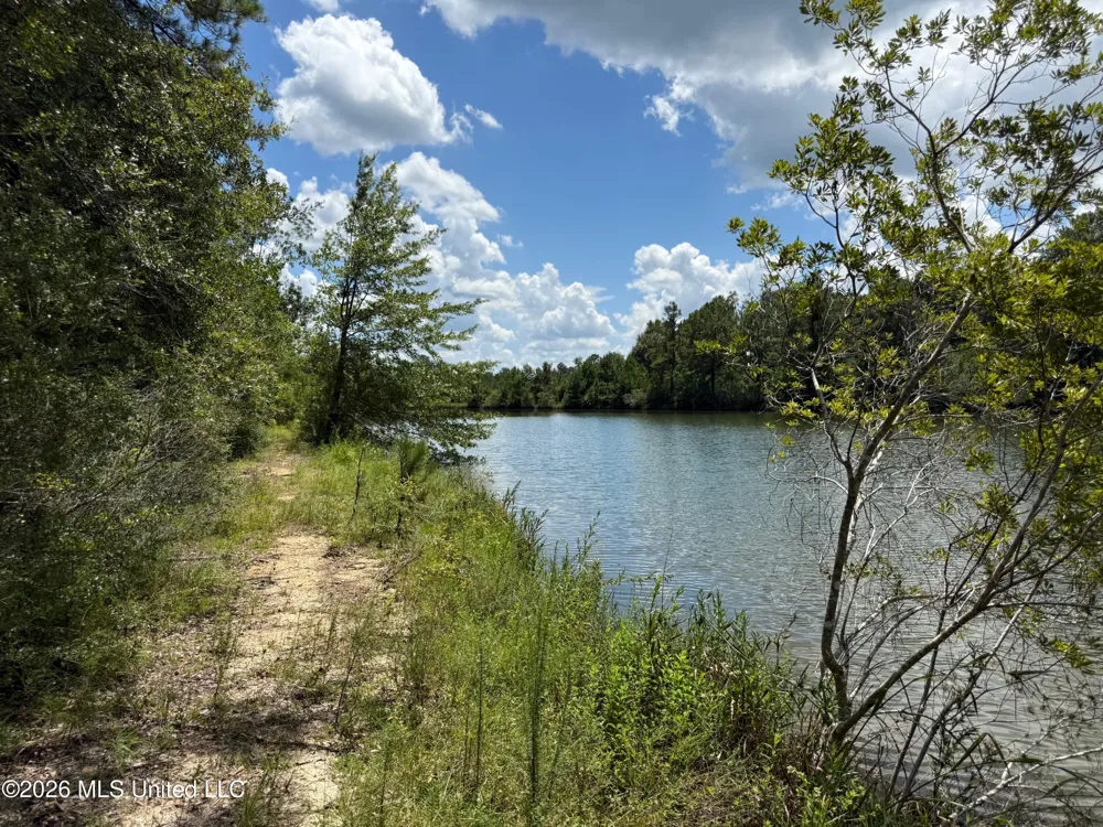 2895 Silver Run Road Poplarville, MS 39470