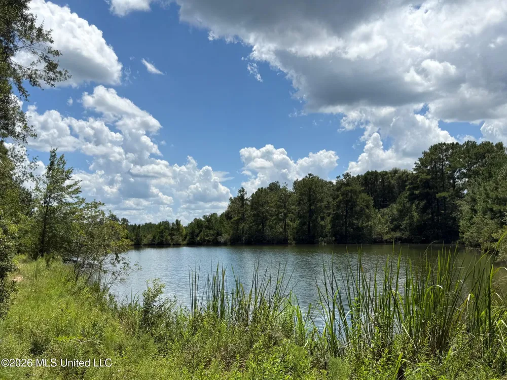 2895 Silver Run Road Poplarville, MS 39470
