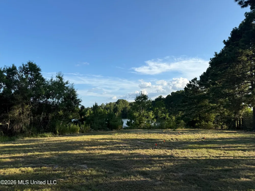 2895 Silver Run Road Poplarville, MS 39470
