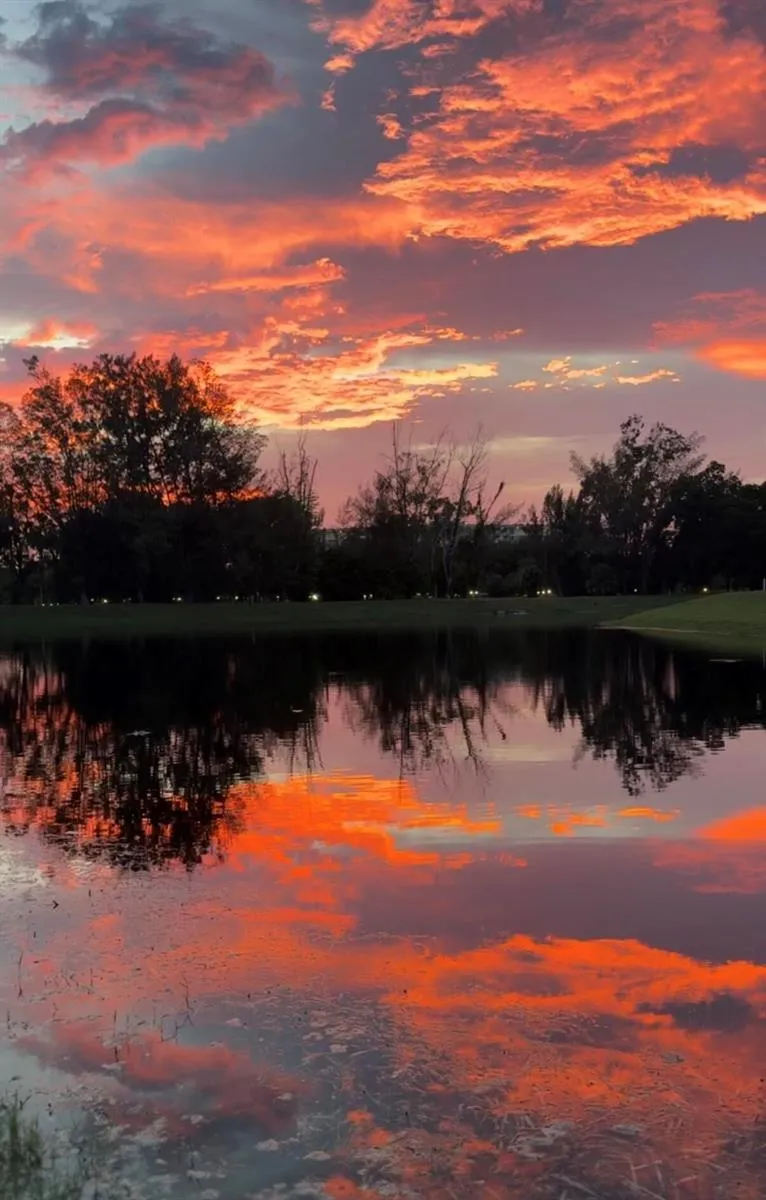 3080 Course Drive #407 Pompano Beach, FL 33069