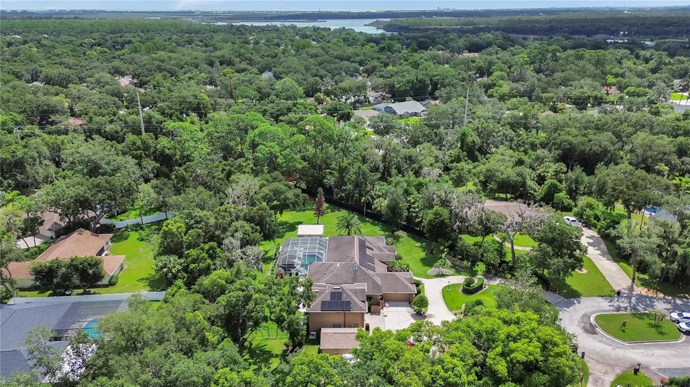 6241 PALOMINO CIRCLE Port Orange, FL 32127