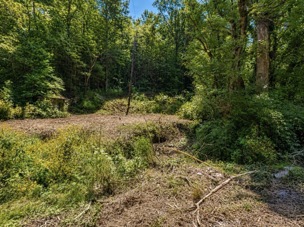 465 Halls Hollow Rd Smithville, TN 37166
