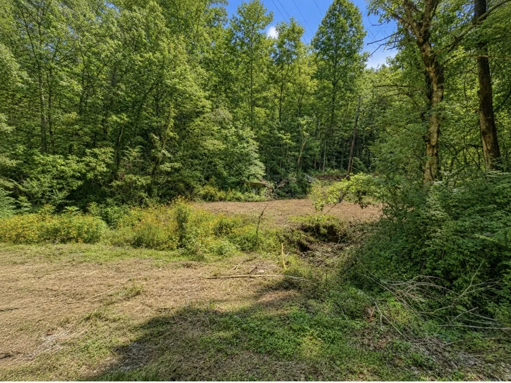 465 Halls Hollow Rd Smithville, TN 37166