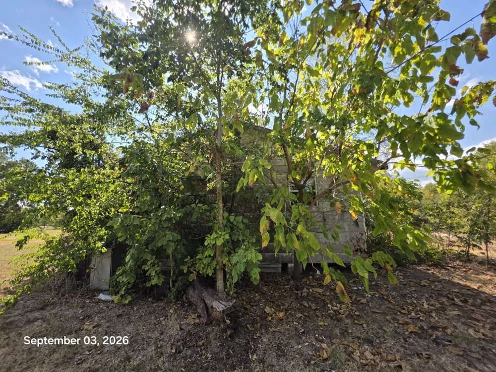 973 CR 1695 Mt Pleasant, TX 75455