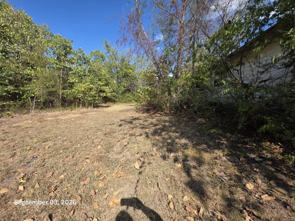 973 CR 1695 Mt Pleasant, TX 75455