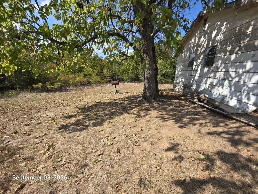 973 CR 1695 Mt Pleasant, TX 75455