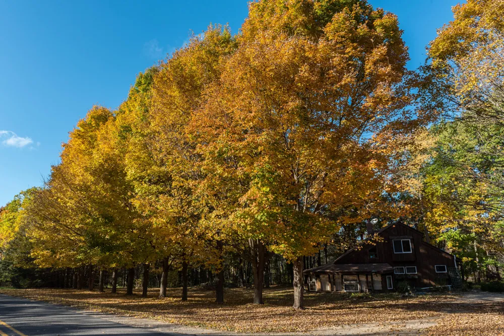 4315 Hipps Hollow Road Eau Claire, MI 49111