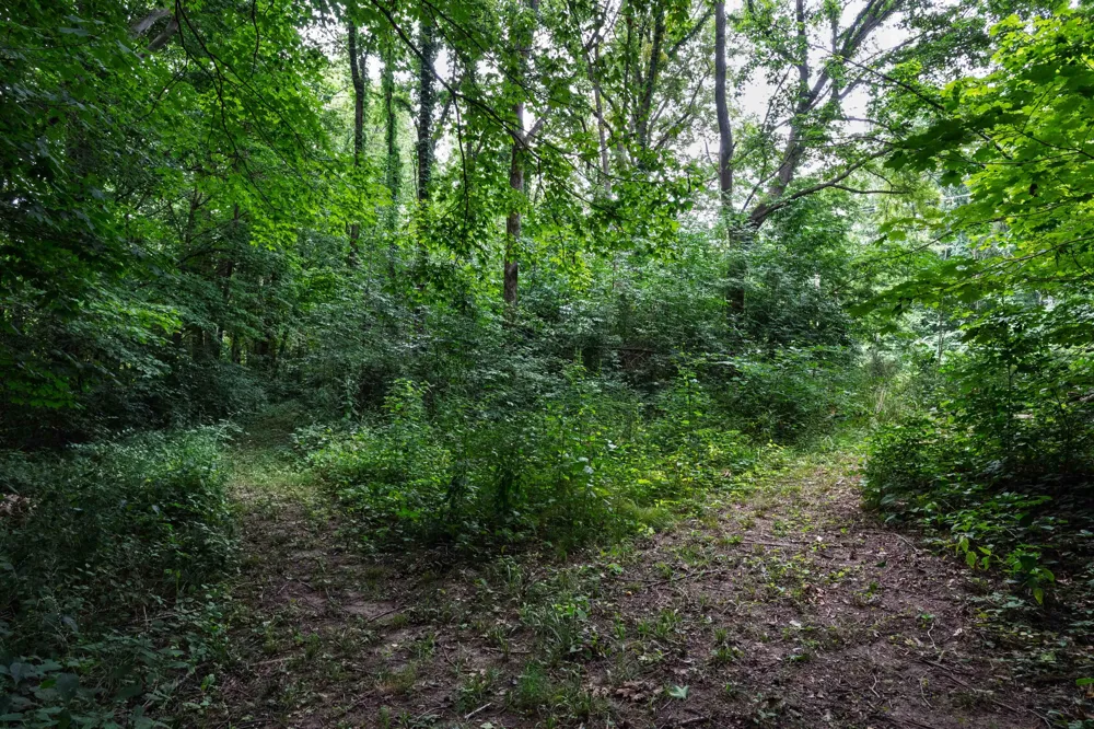 4315 Hipps Hollow Road Eau Claire, MI 49111