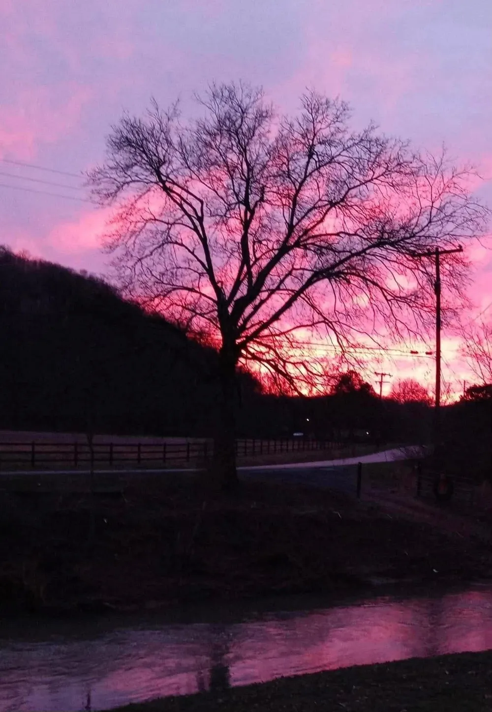 5360 Pond Creek Rd Pegram, TN 37143