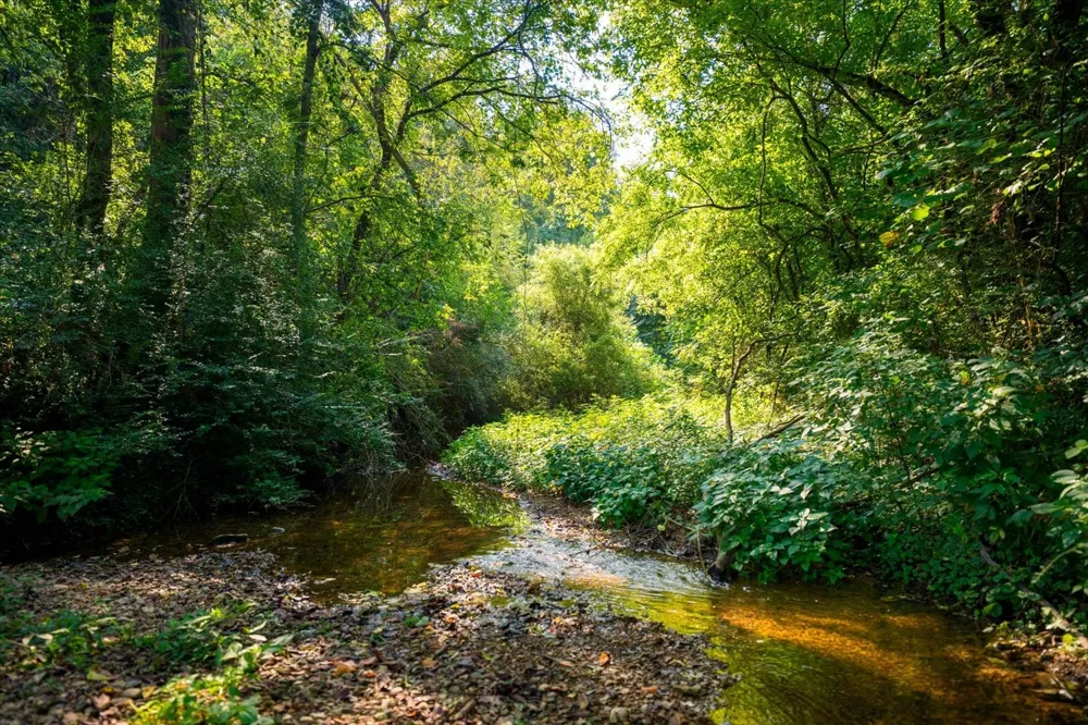 5360 Pond Creek Rd Pegram, TN 37143